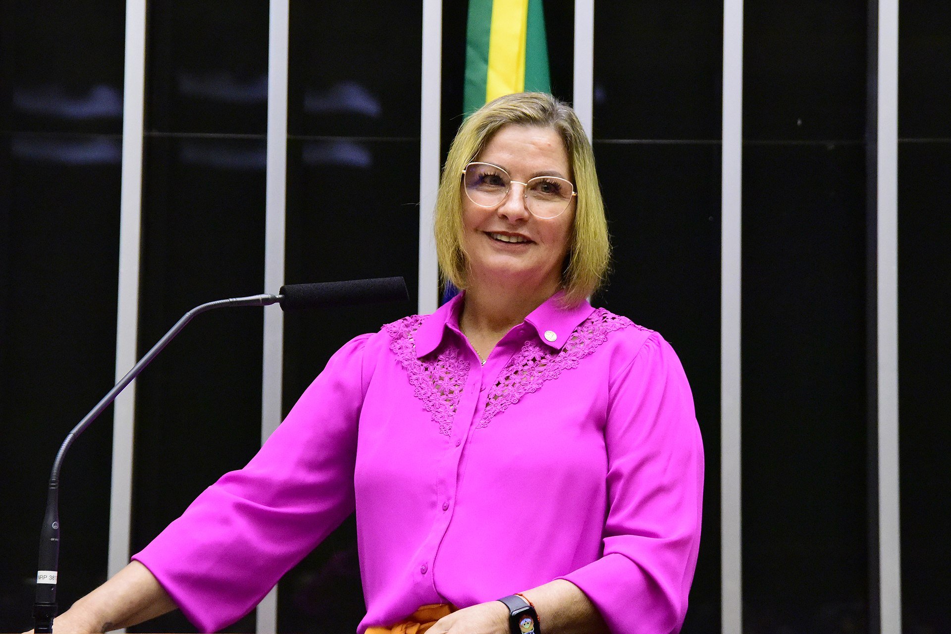 deputada-ana-paula-junqueira-leao-cleia-viana-camara-dos-deputados-1 deputada ana paula junqueira leão - cleia viana - câmara dos deputados