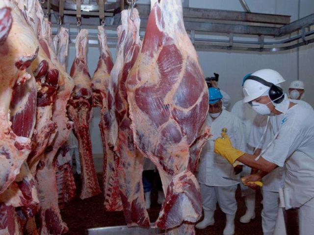 carne, boi gordo, frigorífico, pecuária - frigoríficos