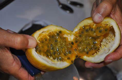 Maracujá aberto, EMBRAPA