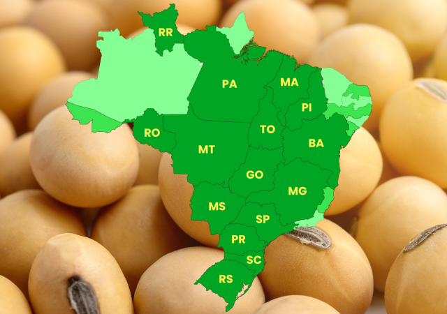 municípios produtores de soja