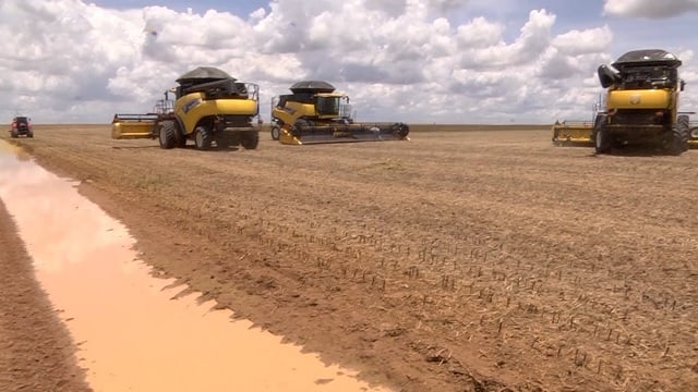 soja colheita com chuva foto pedro silvesttre canal rural mato grosso
