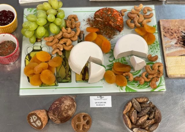 Embrapa desenvolve ‘queijo’ de babaçu