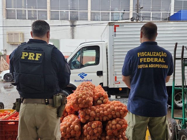 apreensão, gado, fiscalização, região sul, mapa