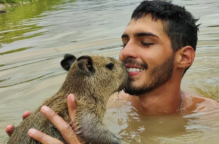 capivara, Ibama, multa, tiktoker, Filó, Amazonas
