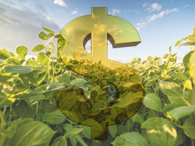 dinheiro, safra, recurso, safra - financiamento agrícola, Funrural