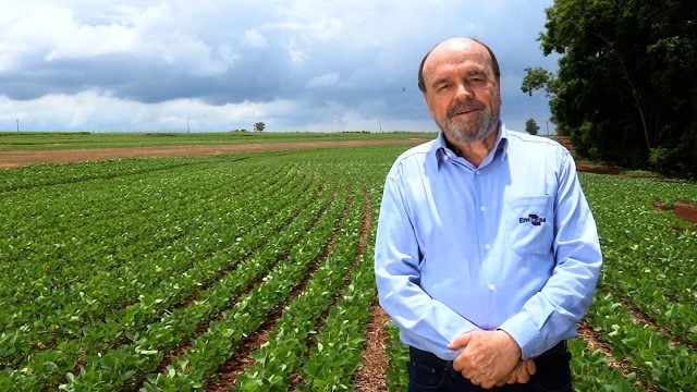 Dionisio Pisa Gazziero - Personagem Soja Brasil 22/23