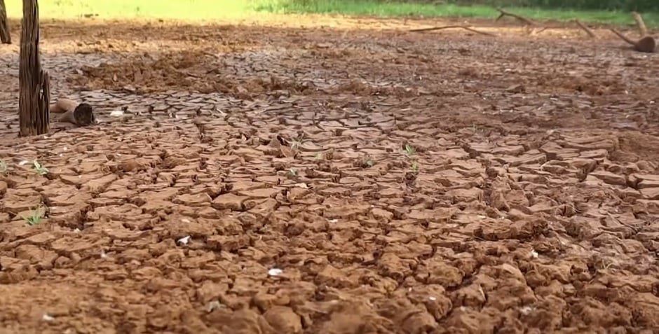 estiagem severa no rs - seguro rural