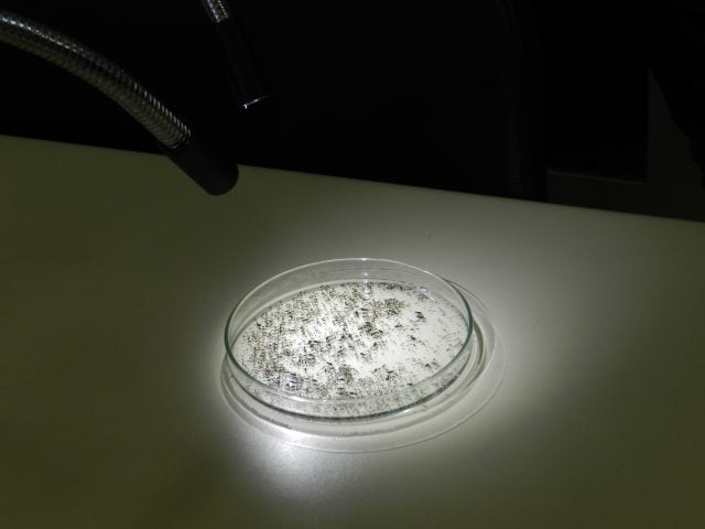 ferramenta AphidCV 3.0 Web