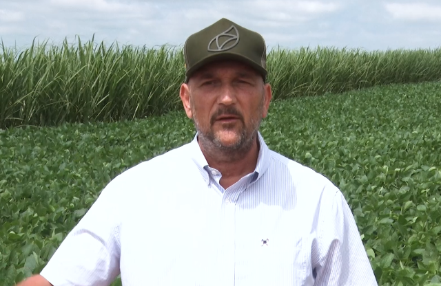 José Eugênio produtor de soja e cana