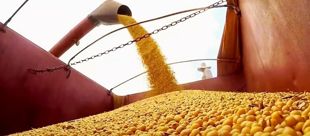 soja-4-3 soja - fazenda - lavoura