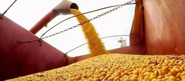 soja - colheita da soja