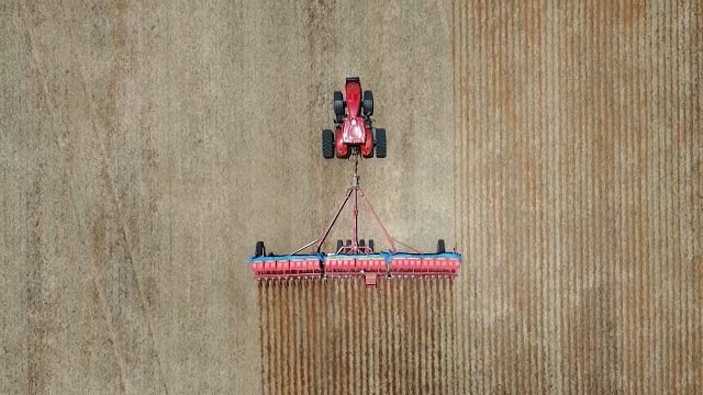 soja colheita com chuva foto pedro silvesttre canal rural mato grosso2