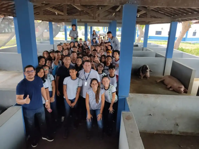 estudantes, suinocultura