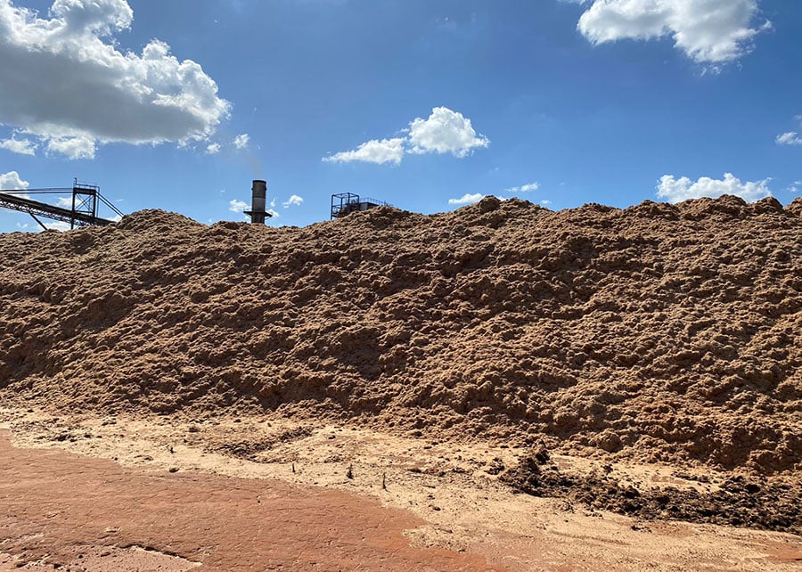 Biomassa 1G, matéria prima para a produção de pellets.