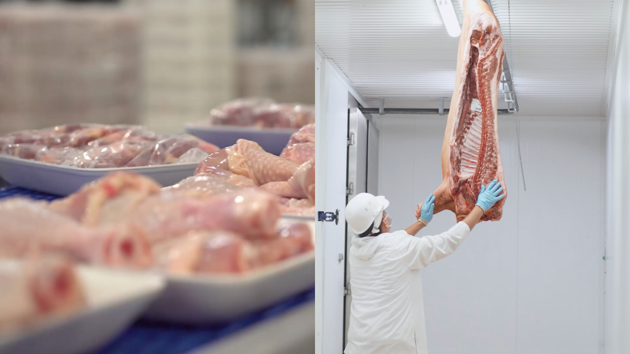 design-sem-nome-17-1 suíno, carne, frango