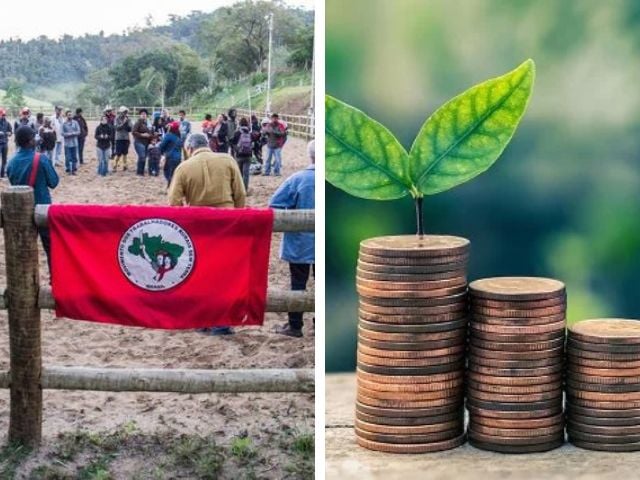 montagem de fotos do MST e de economia