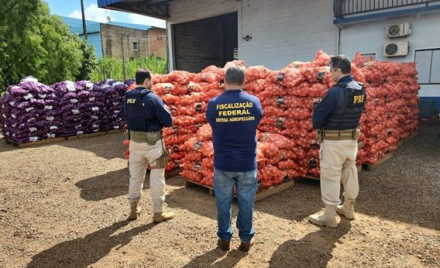 governo, mapa, apreensão de produtos agro