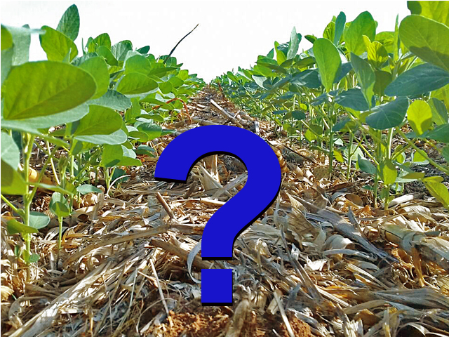 soja-interrogacao-1