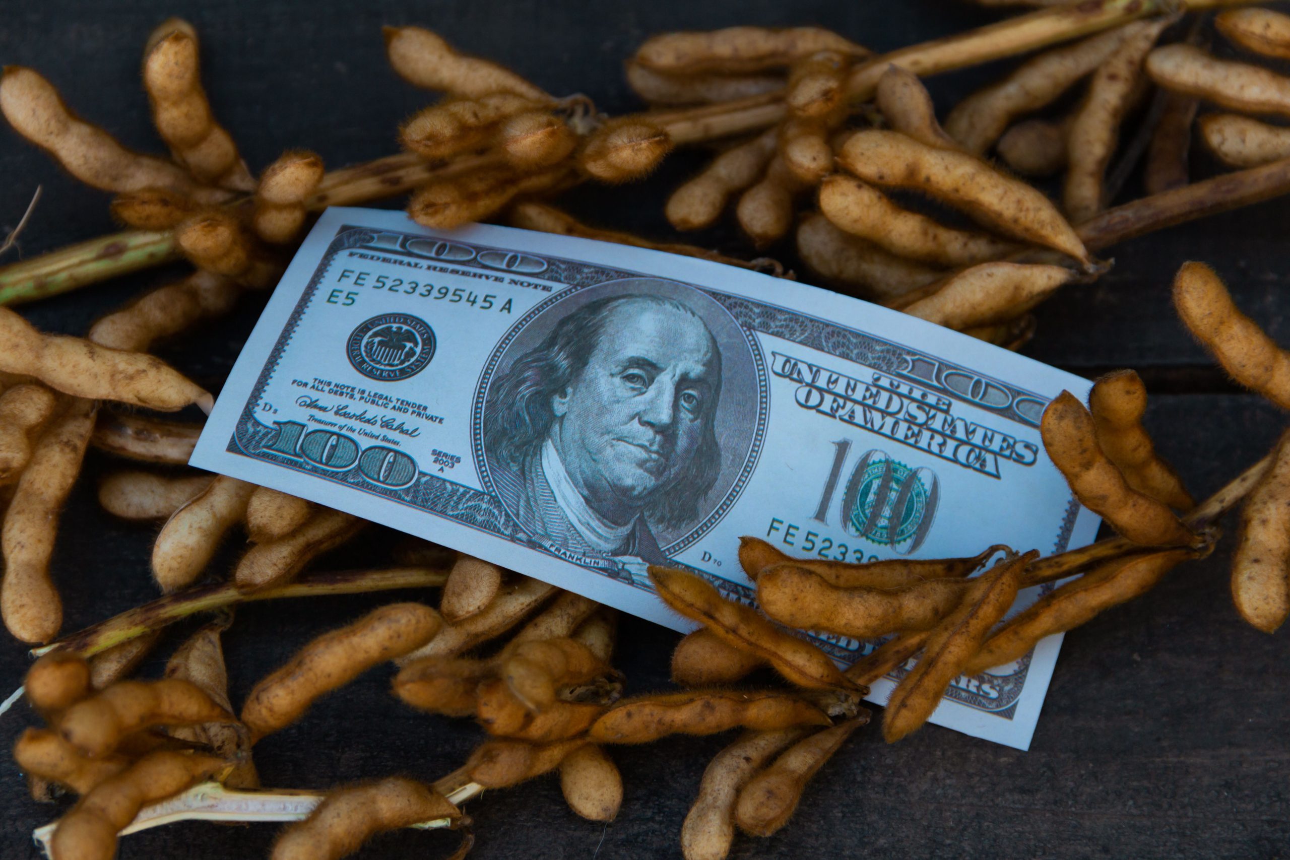 soja-mercado-scaled-2 soja mercado