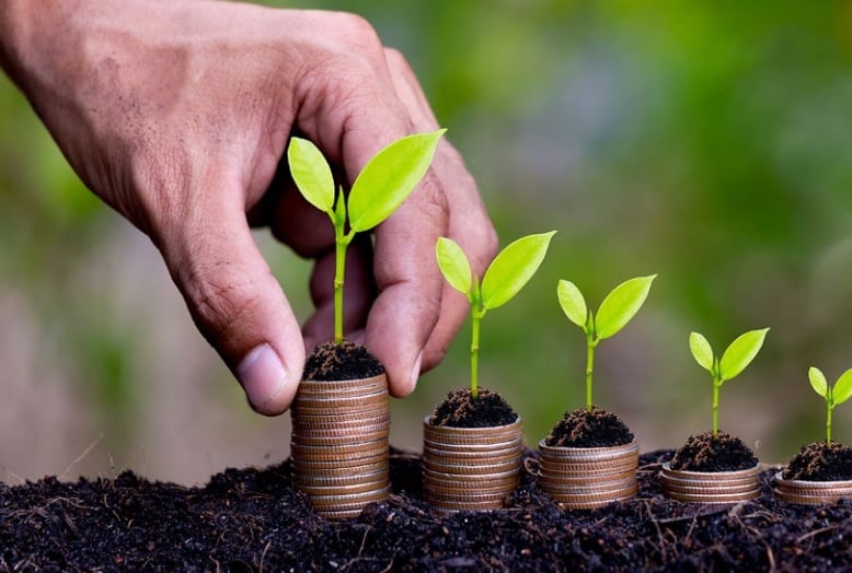 vbp-paulista-crescimento-1 vbp paulista - crescimento