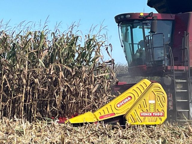 Colheita de milho em Mato Grosso