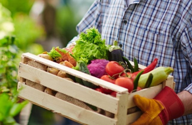 agronegócio paulista 2022