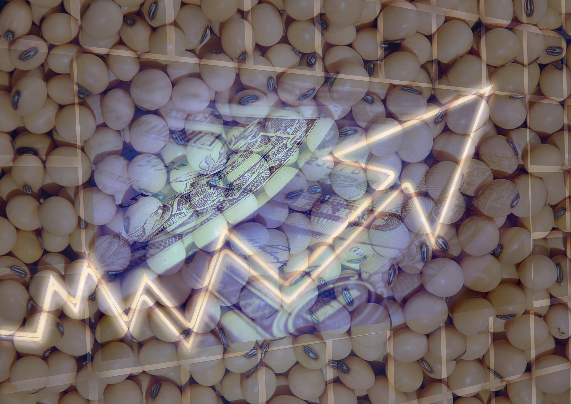 dollar-544956fff_1920-1 soja preço cotação pib Chicago dólar