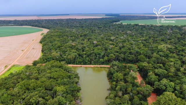 Foto: Leandro Balbino/Canal Rural Mato Grosso