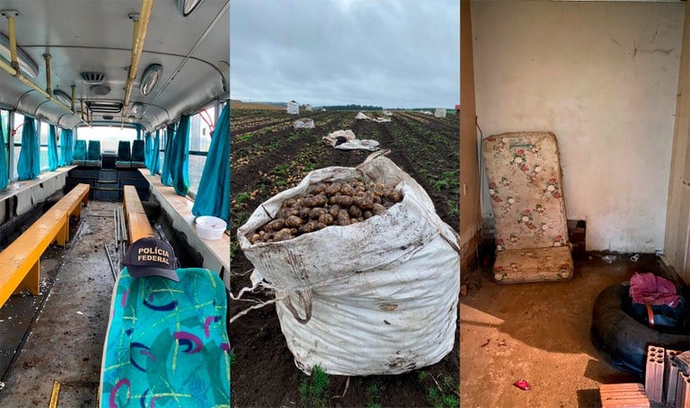 SC: PF resgata 3 trabalhadores em condições análogas à escravidão em zona rural