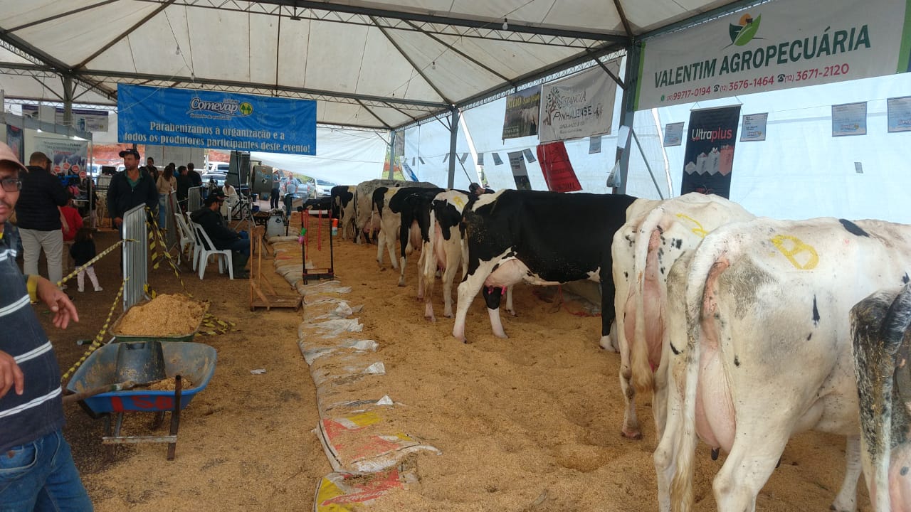 whatsapp-image-2023-06-17-at-16-36-10-1 Feicampo