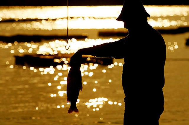 1518809016666-1 pescado