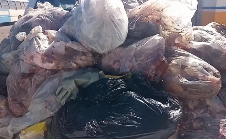 carne-apreendida-1 carne apreendida