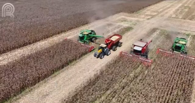 Abertura Nacional da Colheita do Milho 2ª Safra