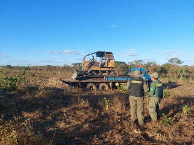 ibama-1-640x480-2 Ibama