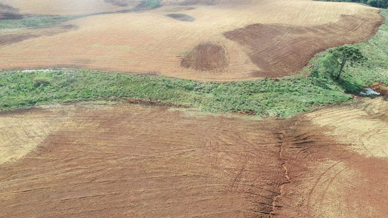 ibama-2 Ibama embarga áreas agrícolas no Rio Grande do Sul