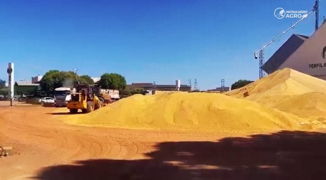 milho a céu aberto mato grosso patrulheiro agro clima