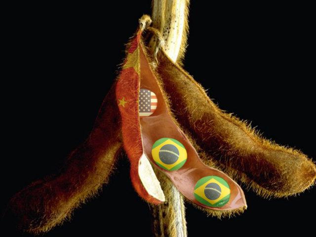 soja-brasil-china-eua2-640x480-2 soja china eua