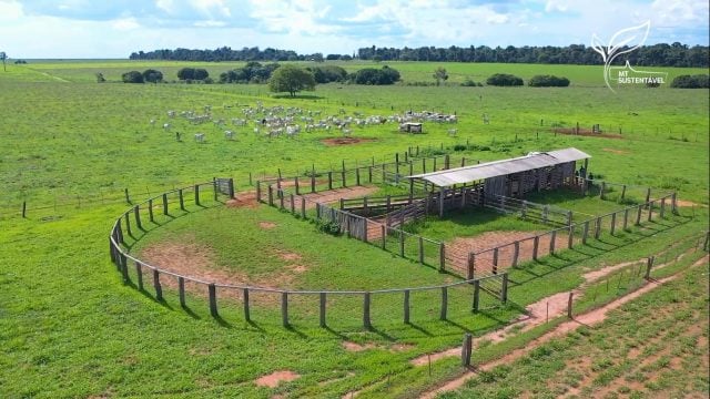 Fazenda de pecuária localizada no município de Gaúcha do Norte com a produção de bezerros