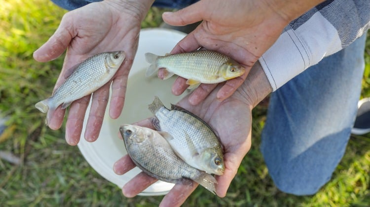 whatsapp-image-2023-07-27-at-17-26-29-1