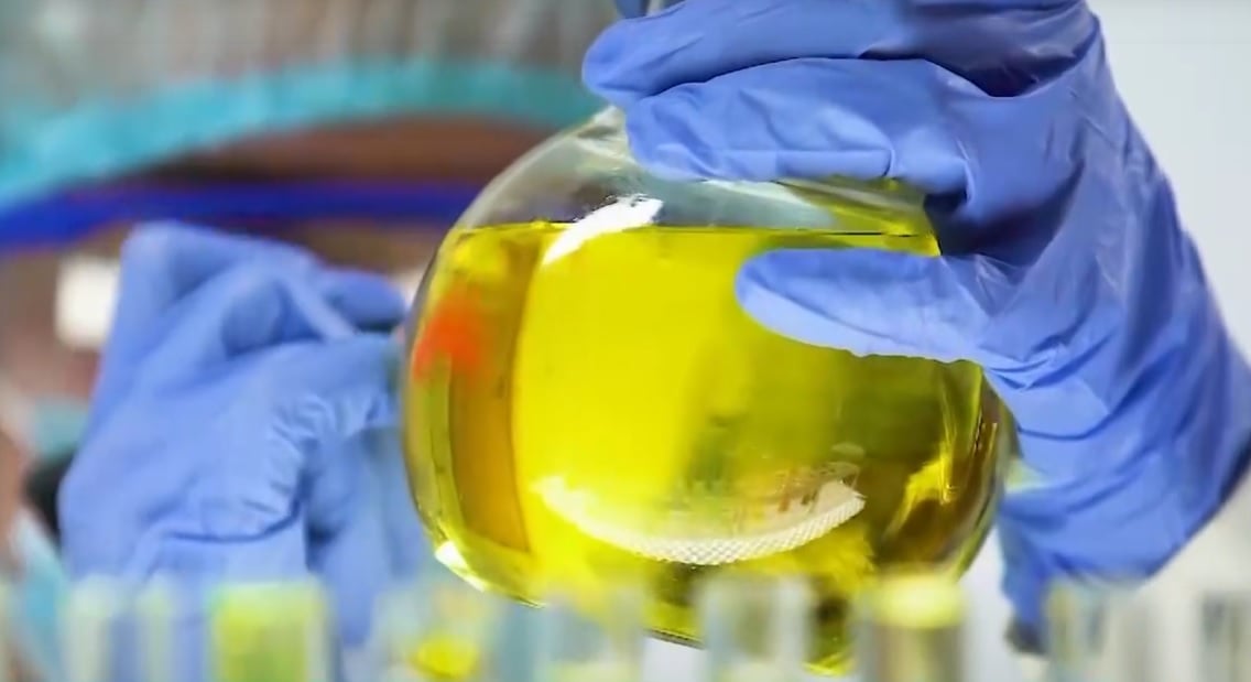 biocombustivel-1 biocombustível - biocombustíveis