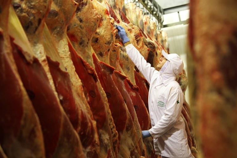 carnemapa-1 abate, carne bovina, frigoríficos, carnes - abates