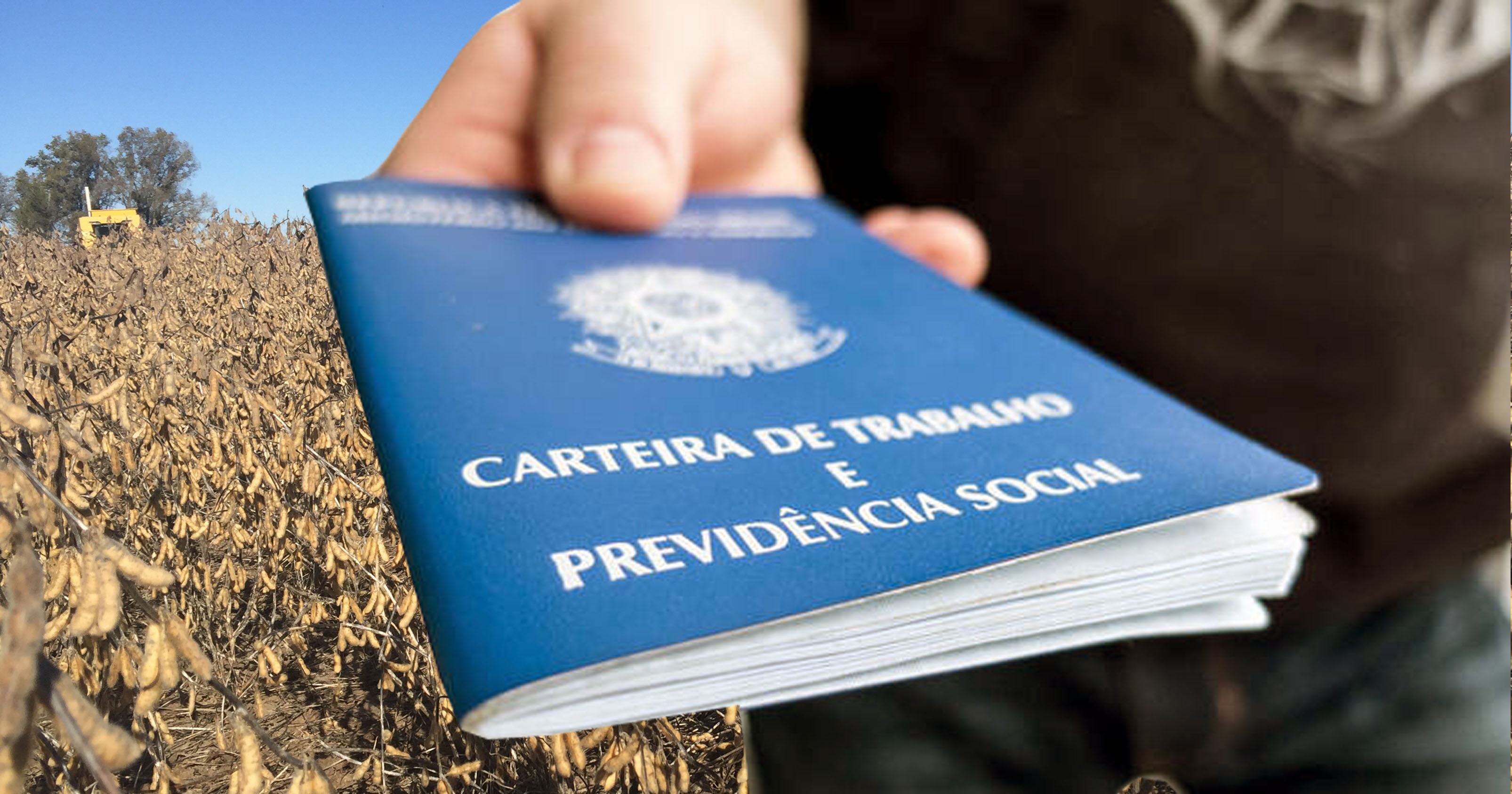 carteira-trabalho-1 trabalho, agronegócio, brasil, pesquisa, cepea, CNA