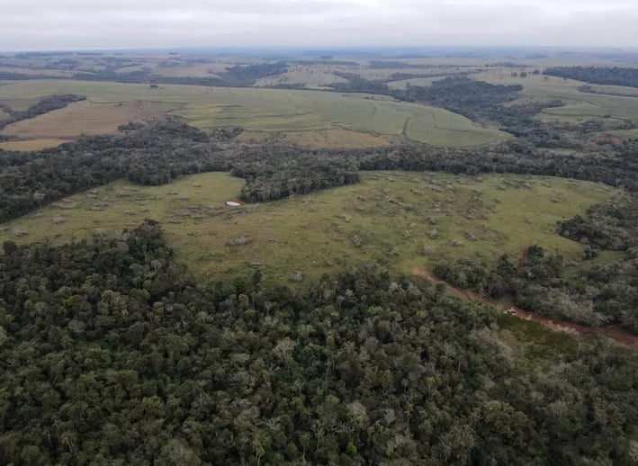 fazendeiros, multa, ms, milho