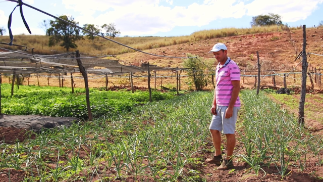 Ademilton José de Oliveira produz junto com a família alimentos para atender demanda do Pnae e PAA de São Desidério (BA)