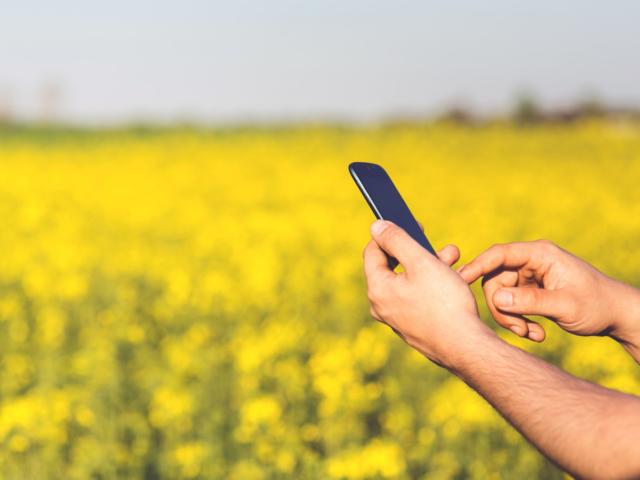 man-field-smartphone-yellow_640x480_acf_cropped-2