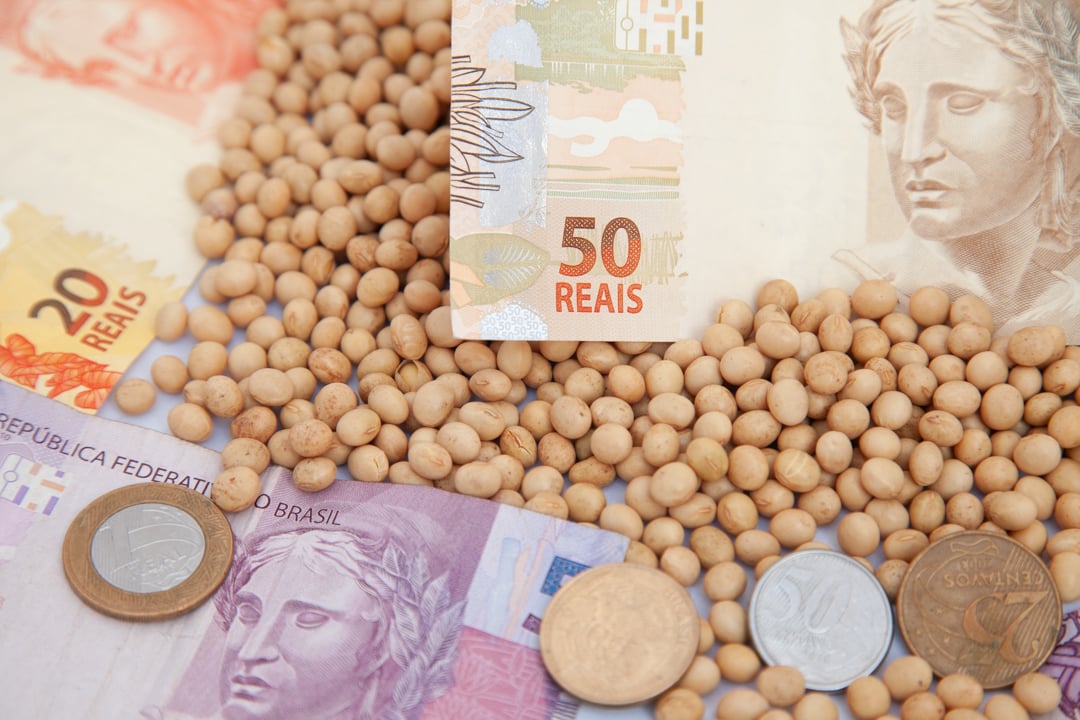 mg_2526-1 preço soja cotação saca