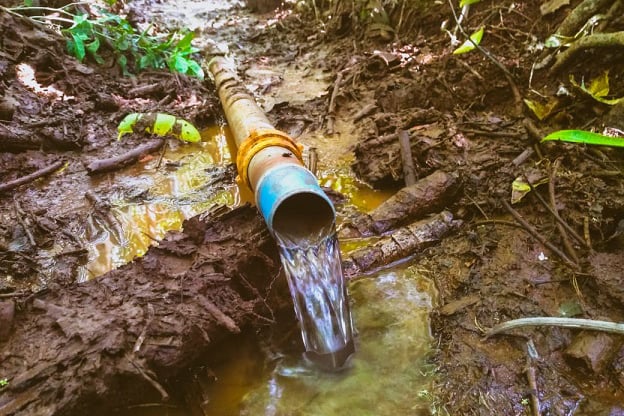 nascente-de-agua-agricultura-parana-1 nascente de água, agricultura, paraná