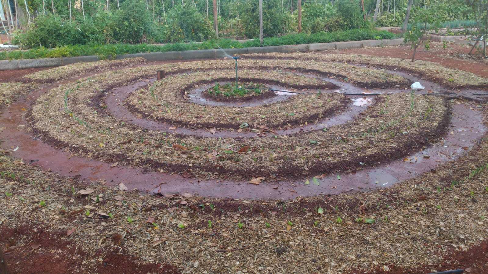 olericultura-organica-1 Produtores aprendem mandala