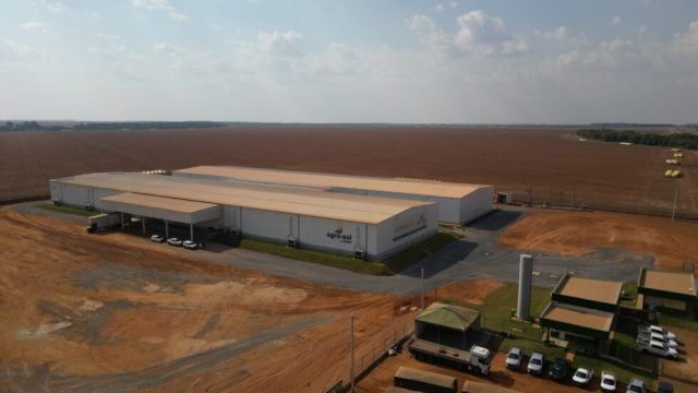 SeedPlace 163 Agro-Sol Sementes