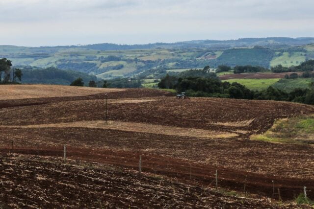 soja, vazio sanitário, Paraná
